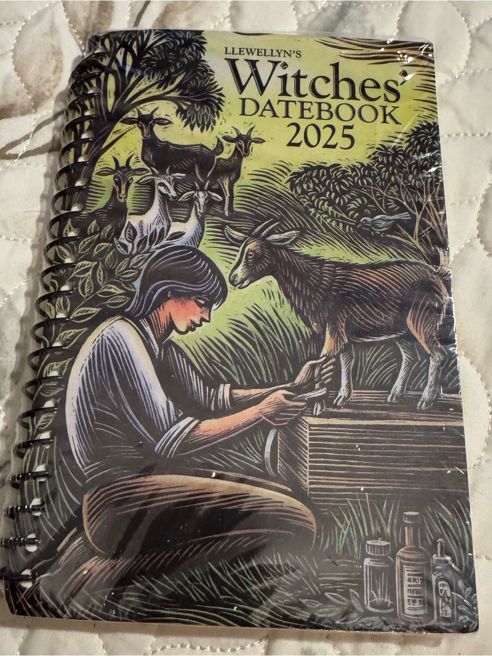 Llewellyn's 2025 Witches' Datebook - Brand New Factory Sealed Pagan Almanac